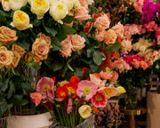 Celebrating the Launch of the Review x Vasette